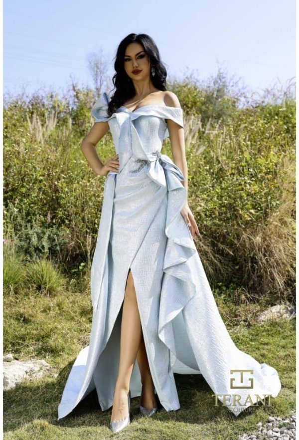 Terani couture 252E5169 تيراني كوتور