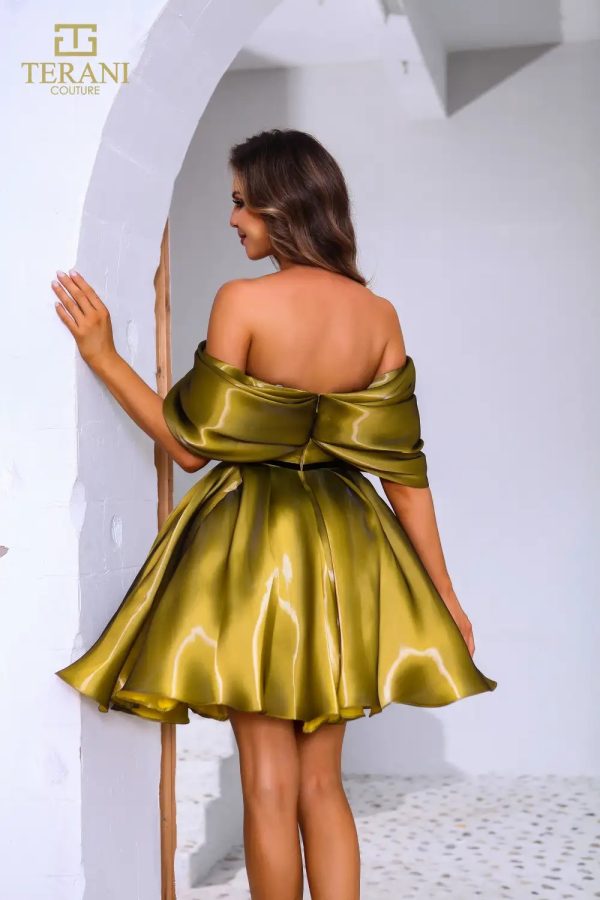 Terani couture 251C4045 تيراني كوتور - Image 4