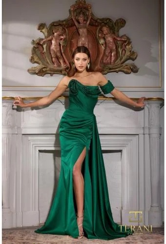 Terani couture 252E5174 تيراني كوتور